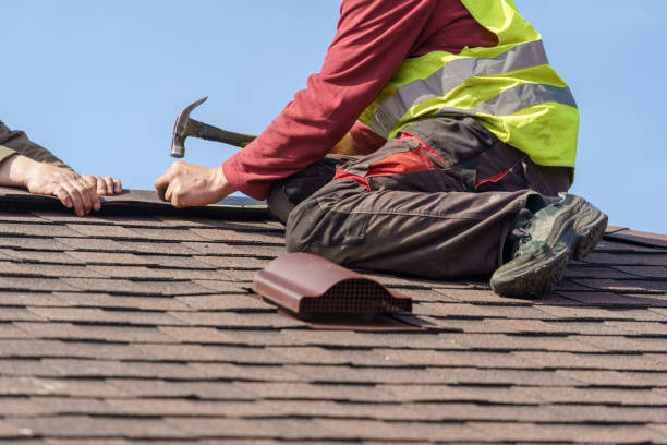 Best Roof Gutter Cleaning  in Ukiah, CA
